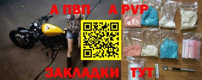 бошки Кингисепп