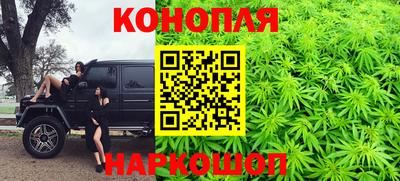 бошки Кингисепп