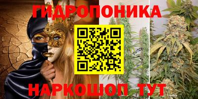 бошки Кингисепп