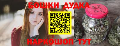 бошки Кингисепп