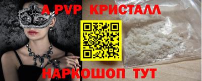 бошки Кингисепп