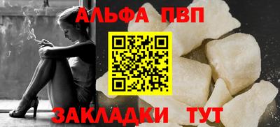 бошки Кингисепп