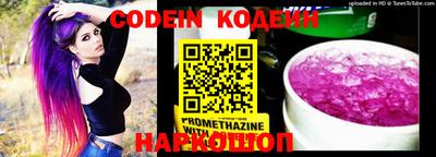 бошки Кингисепп