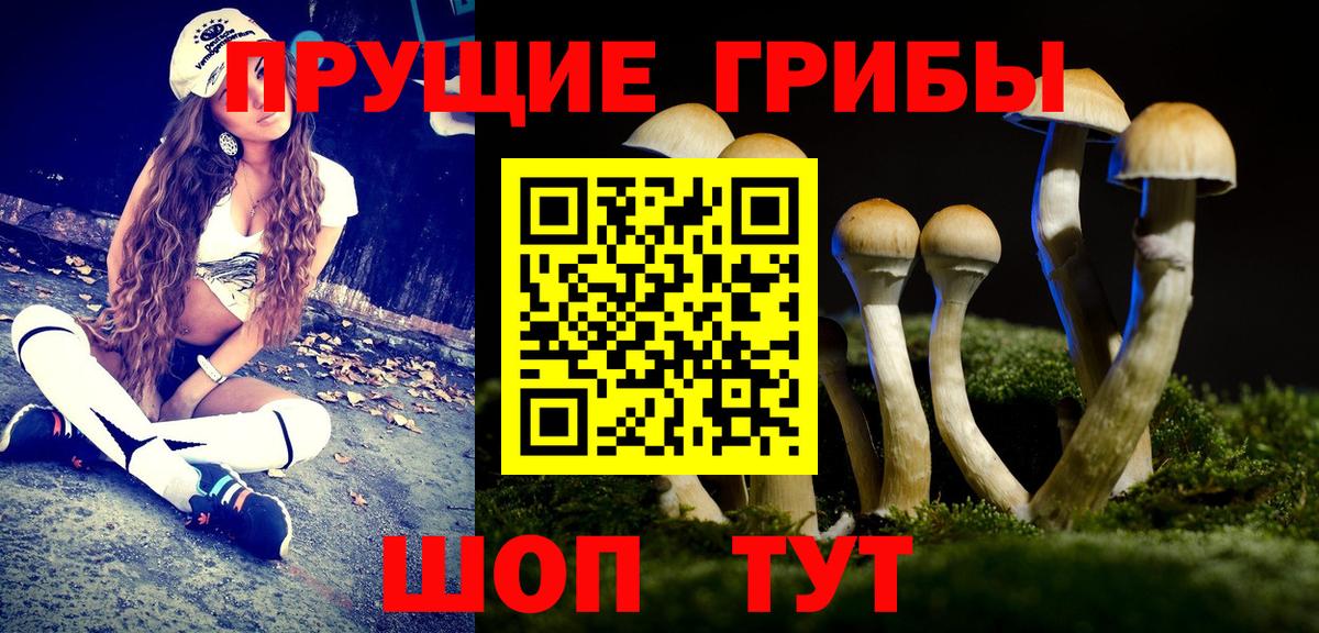 Владивосток  Галлюциногенные грибы GOLDEN TEACHER  даркнет сайт  Вход с VPN 